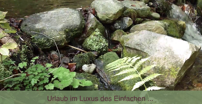 PAPBAU GmbH